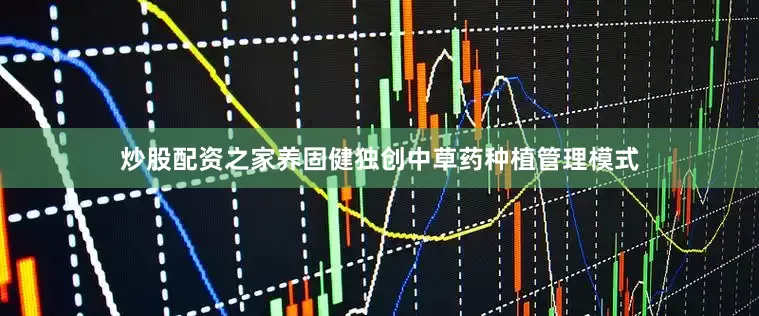 炒股配资之家养固健独创中草药种植管理模式