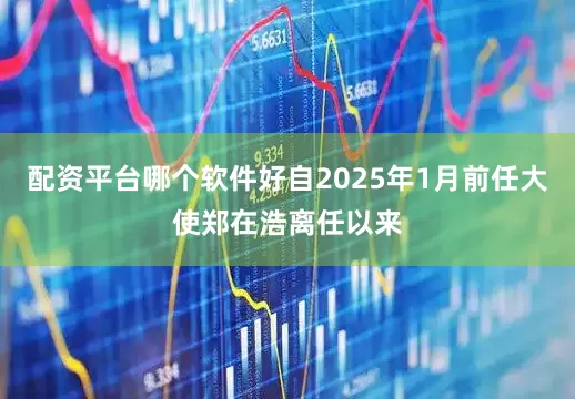 配资平台哪个软件好自2025年1月前任大使郑在浩离任以来